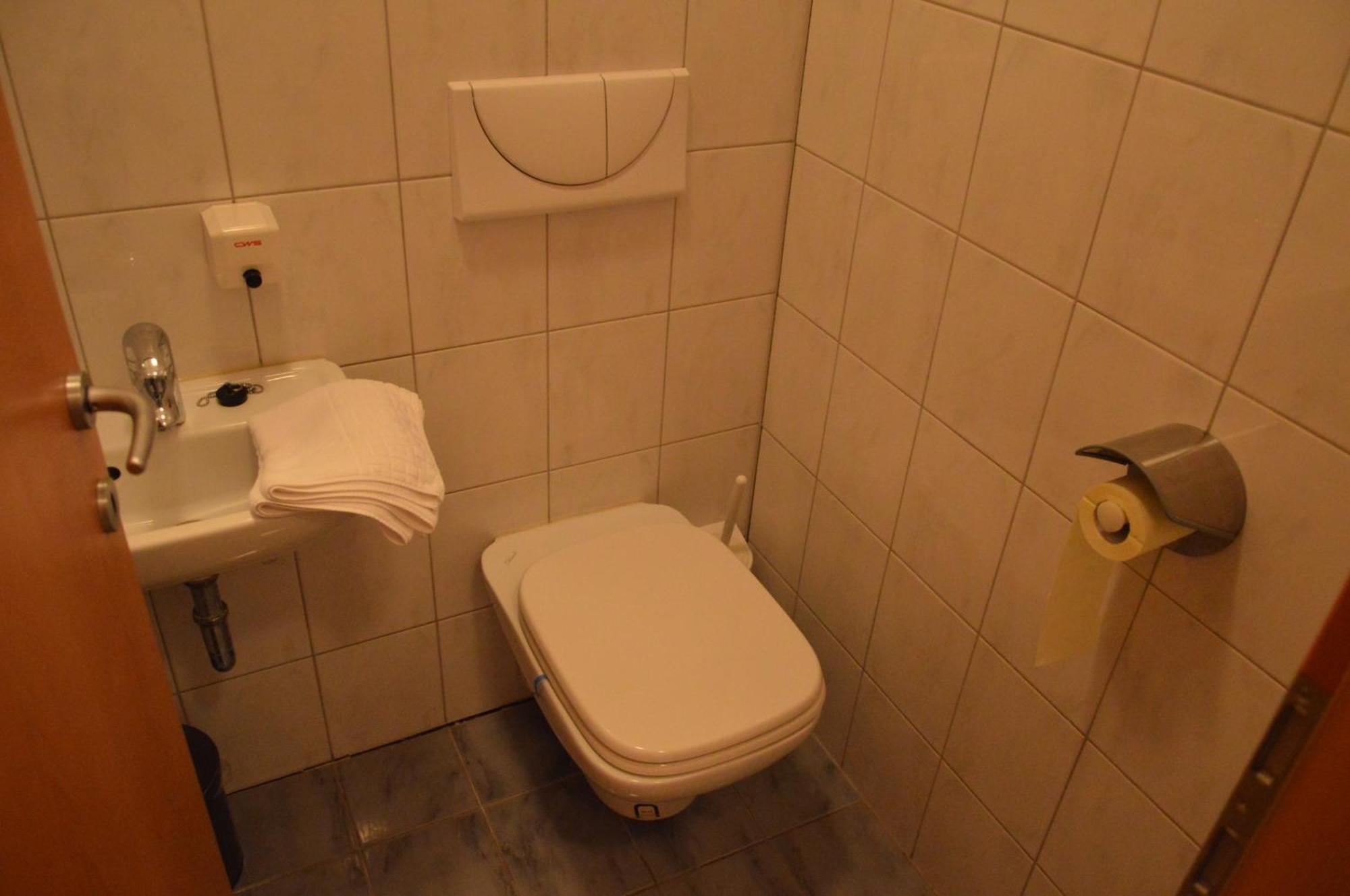 Ferienwohnung Turisticna Kmetija Cebelji Gradic Rogašovci Exterior foto