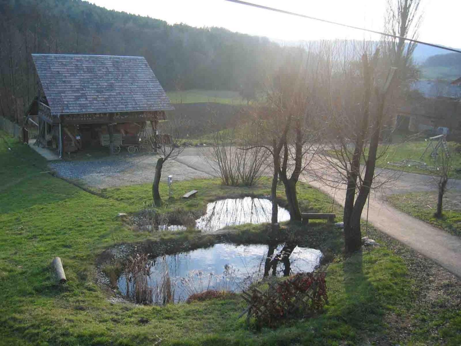 Ferienwohnung Turisticna Kmetija Cebelji Gradic Rogašovci Exterior foto