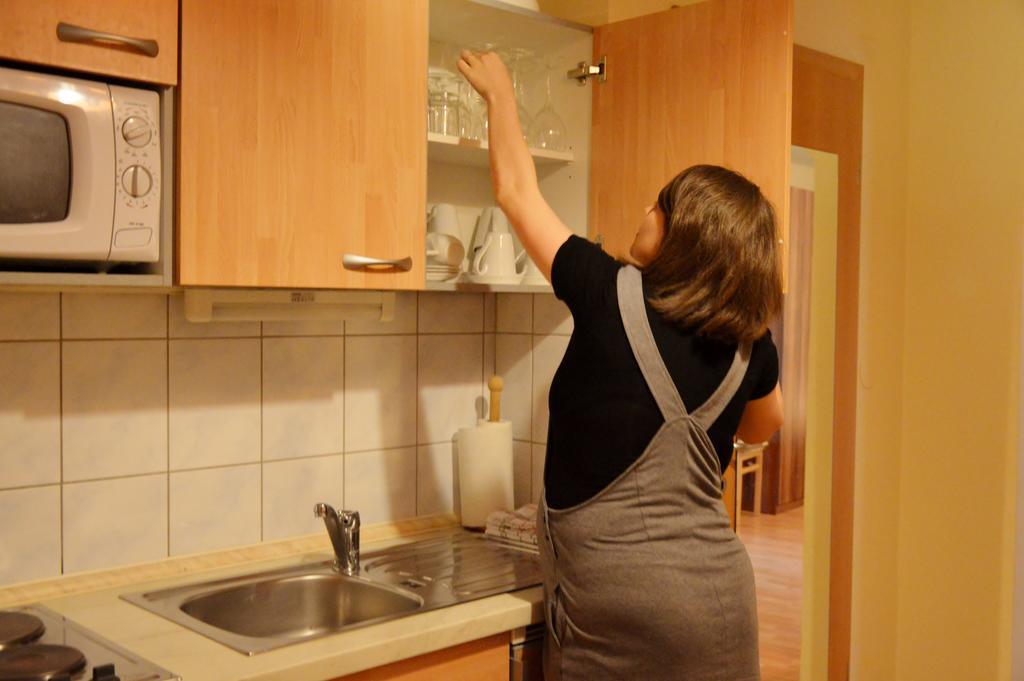 Ferienwohnung Turisticna Kmetija Cebelji Gradic Rogašovci Exterior foto