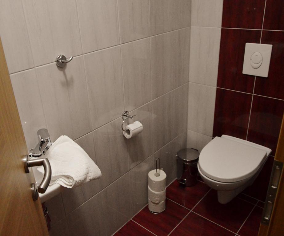 Ferienwohnung Turisticna Kmetija Cebelji Gradic Rogašovci Exterior foto