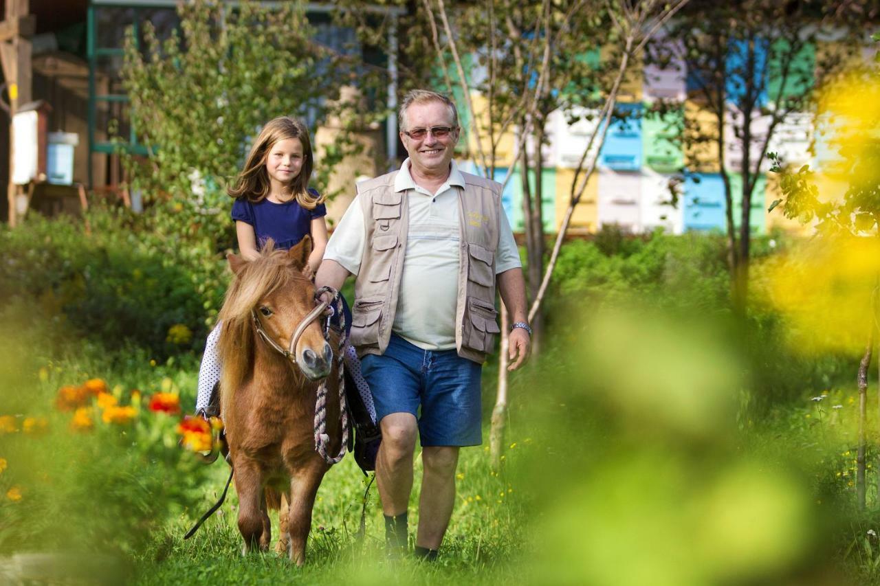 Ferienwohnung Turisticna Kmetija Cebelji Gradic Rogašovci Exterior foto